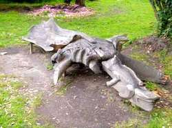 arbre banc d'Olivier Ledoux 2003 <a style='color: #fff;' href='/uploaded/photo/-515bce578700a.jpg'>(Télécharger)</a>